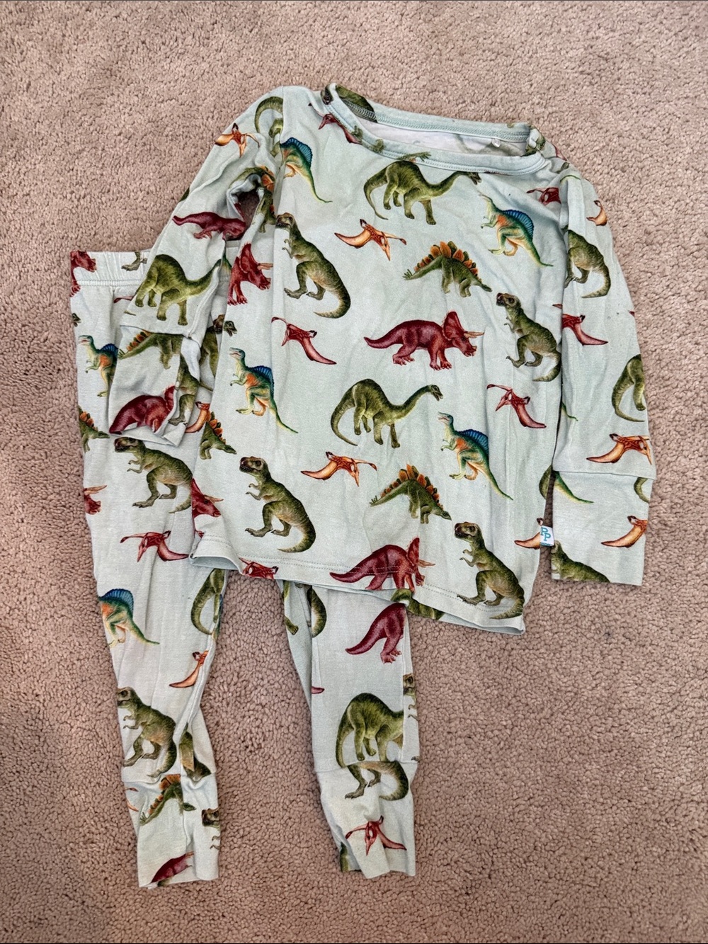 Posh Peanut 🦖 BAMBOO 🌴 12-18 months